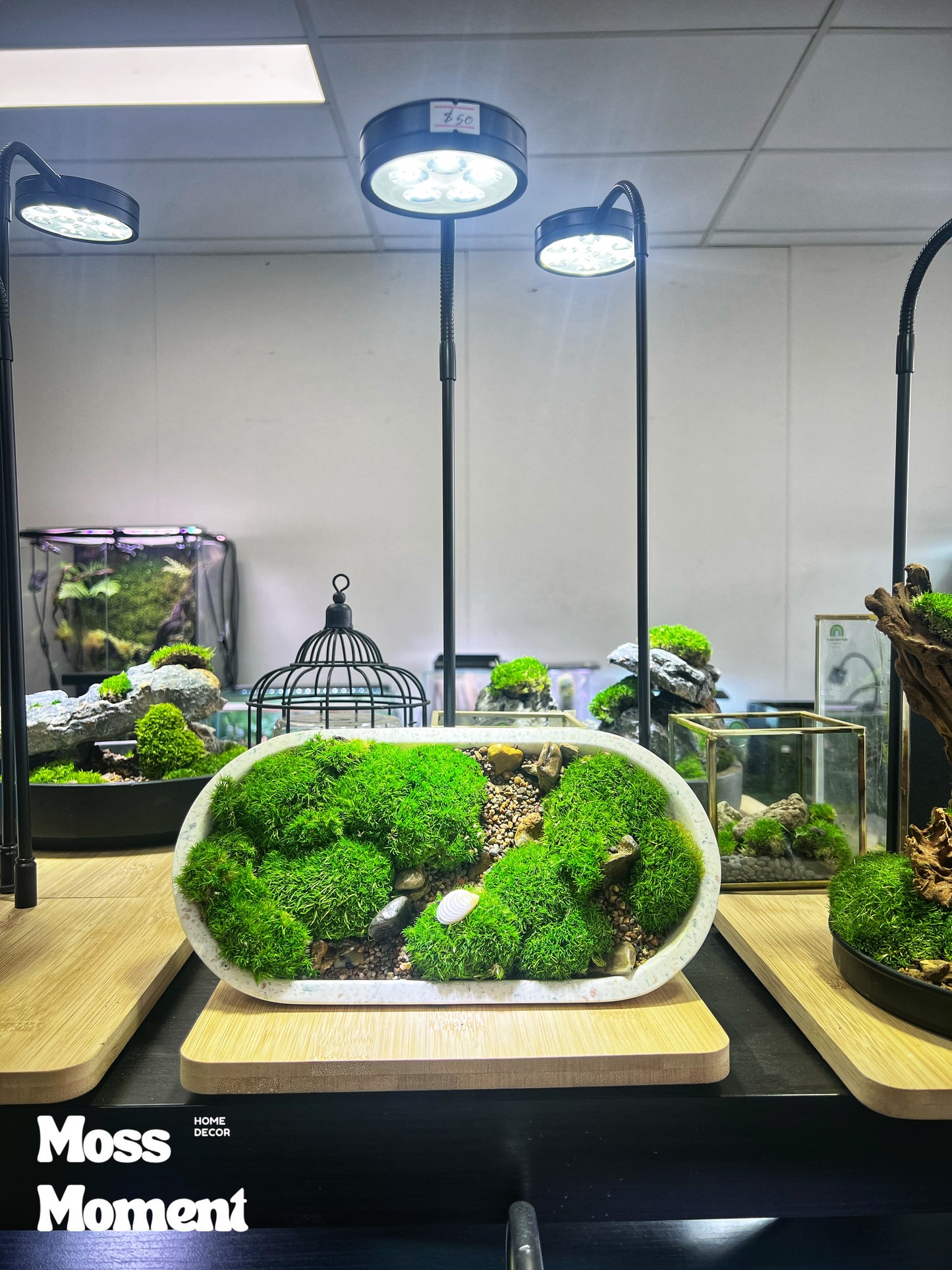 Mossy Marble Scape