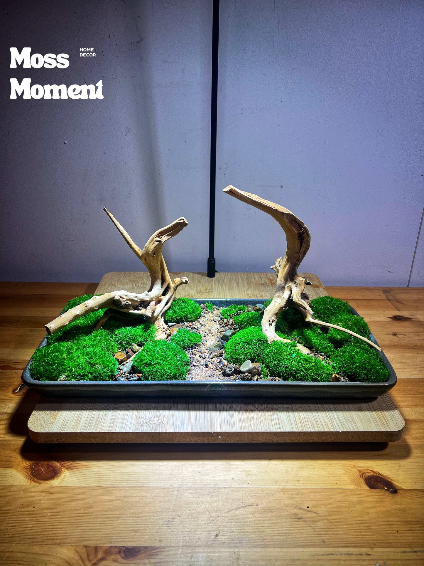Double tree riverbank 33x16