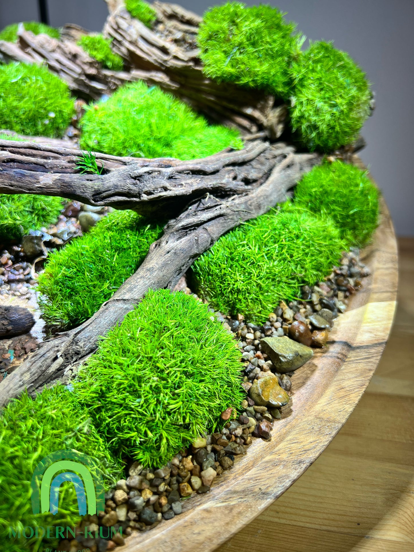 Driftwood Circle 36cm