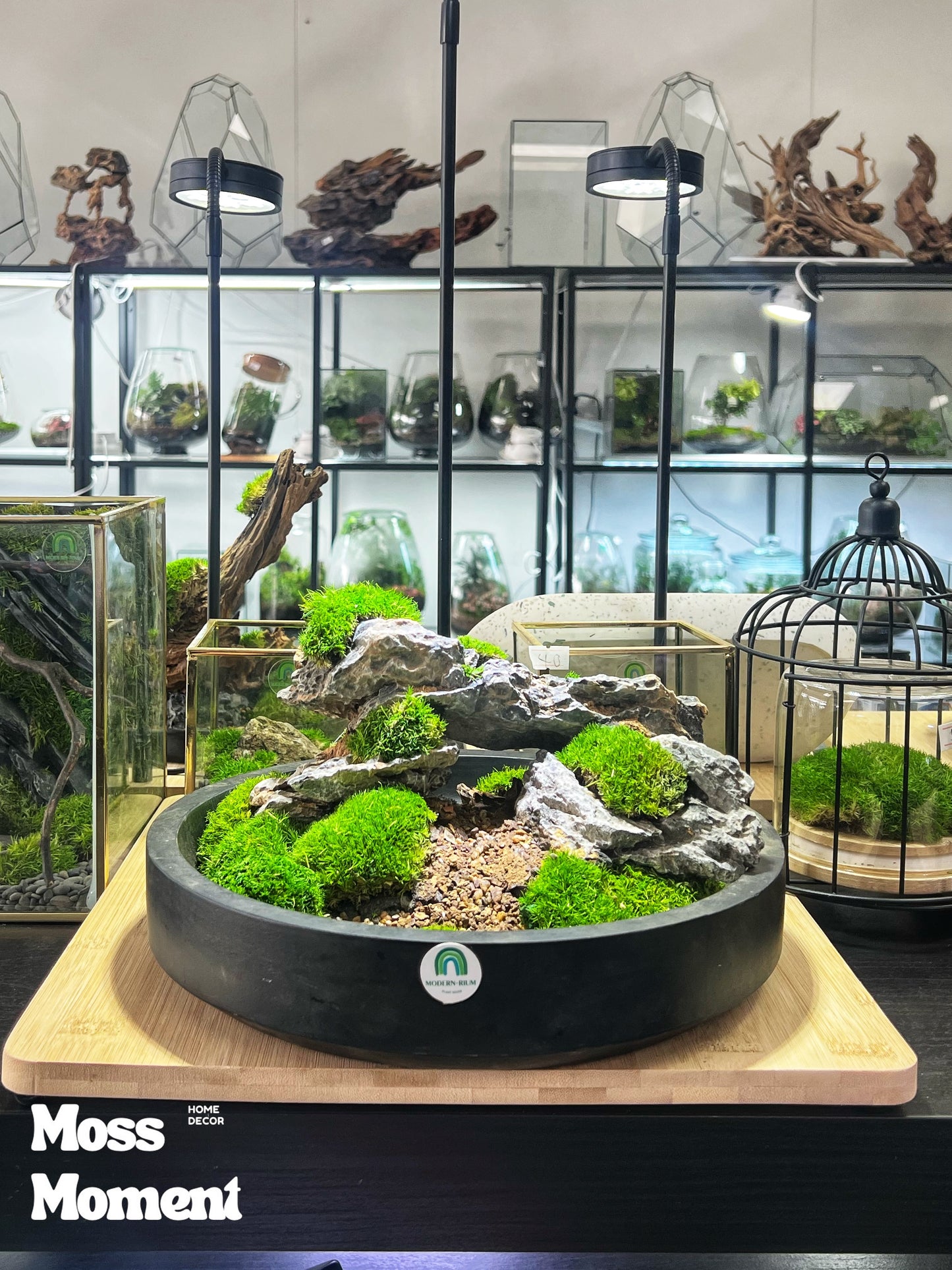 Seryu Rocky Mountain 25cm