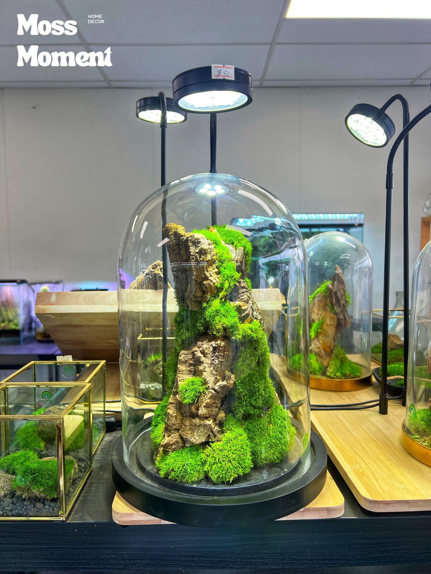 Domed Moss Mountain 33x23cm