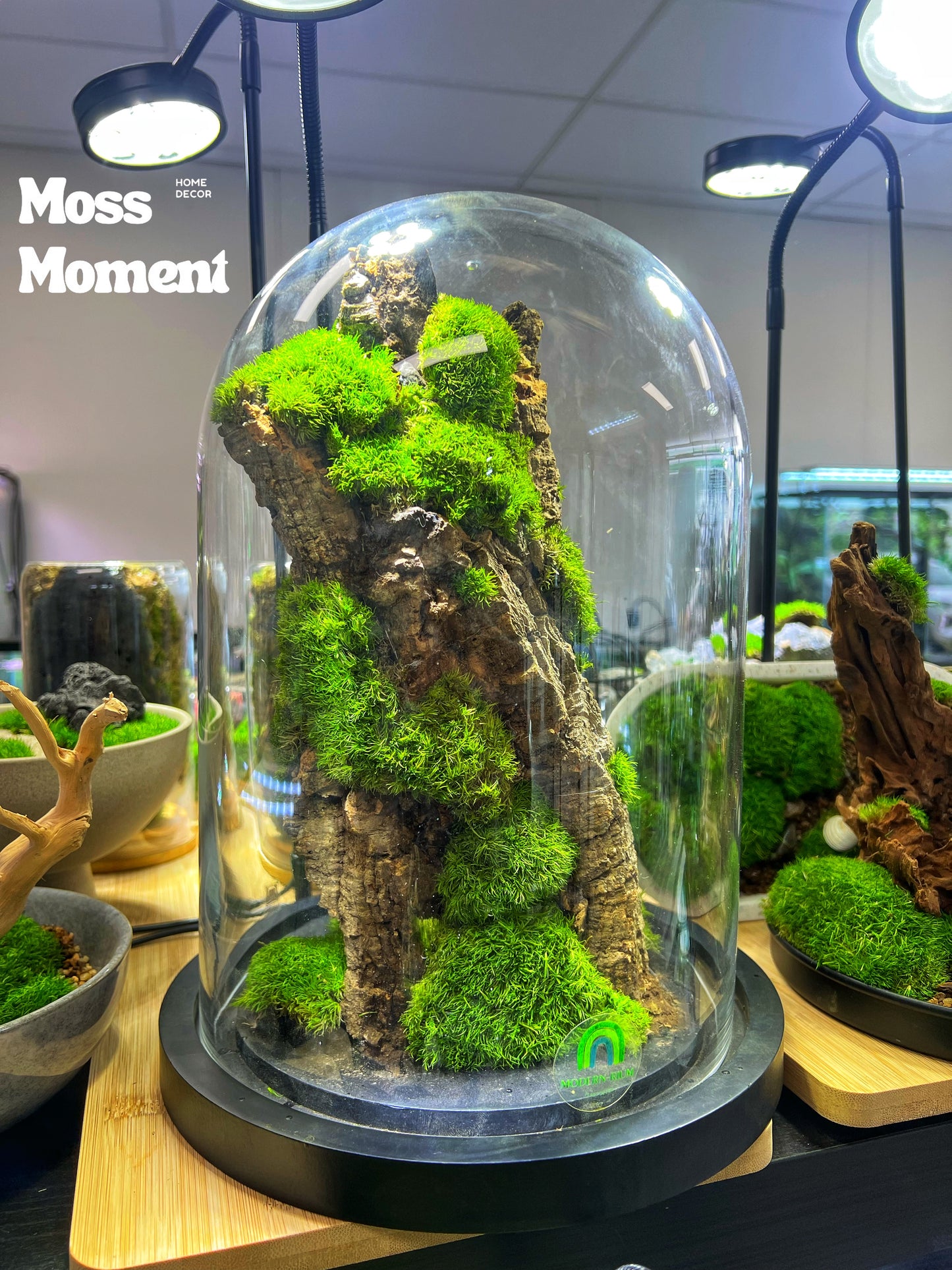 Domed Moss Mountain 33x23cm