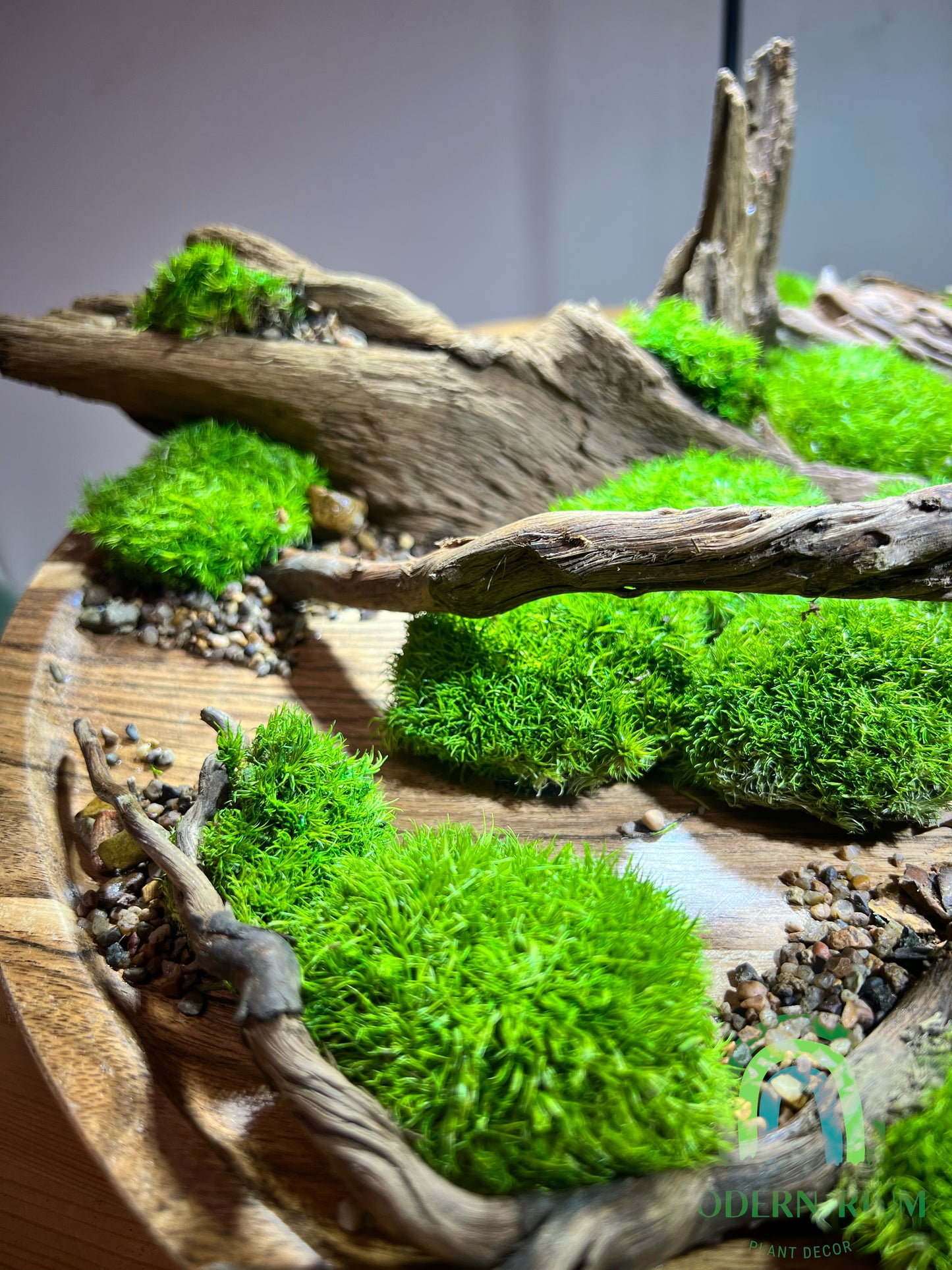 Driftwood Circle 36cm