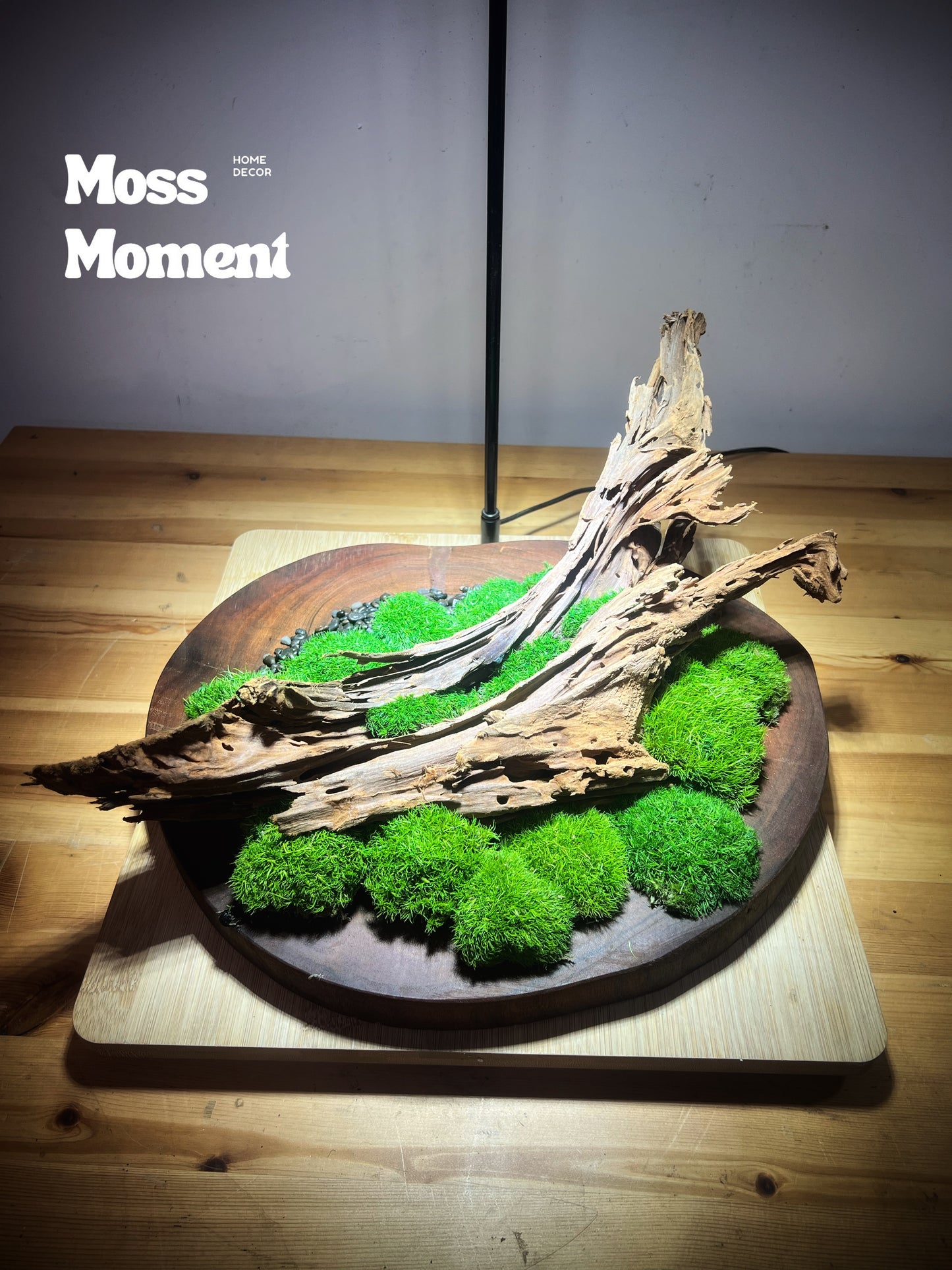 3D Mossscape on merbau slice