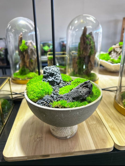 Zen garden 2 15x17cm