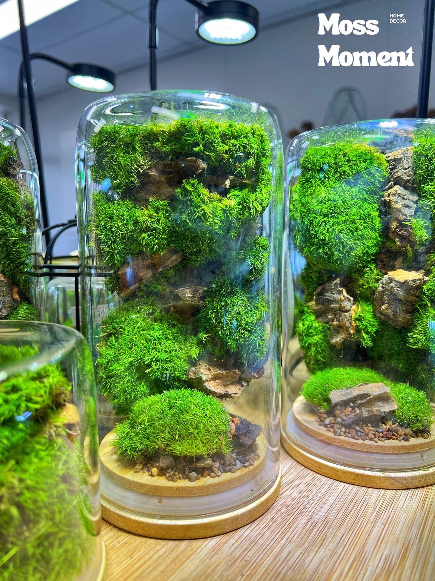 Vertical moss garden