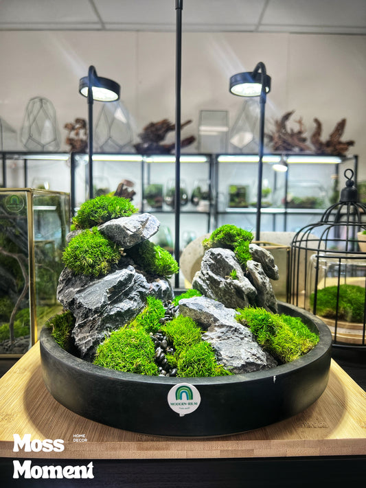 Seryu Rocky Mountain 25cm