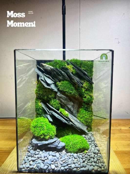 Vertical mosswall