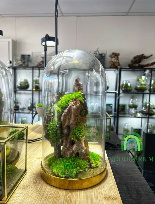Mossy mountain dome 26cm
