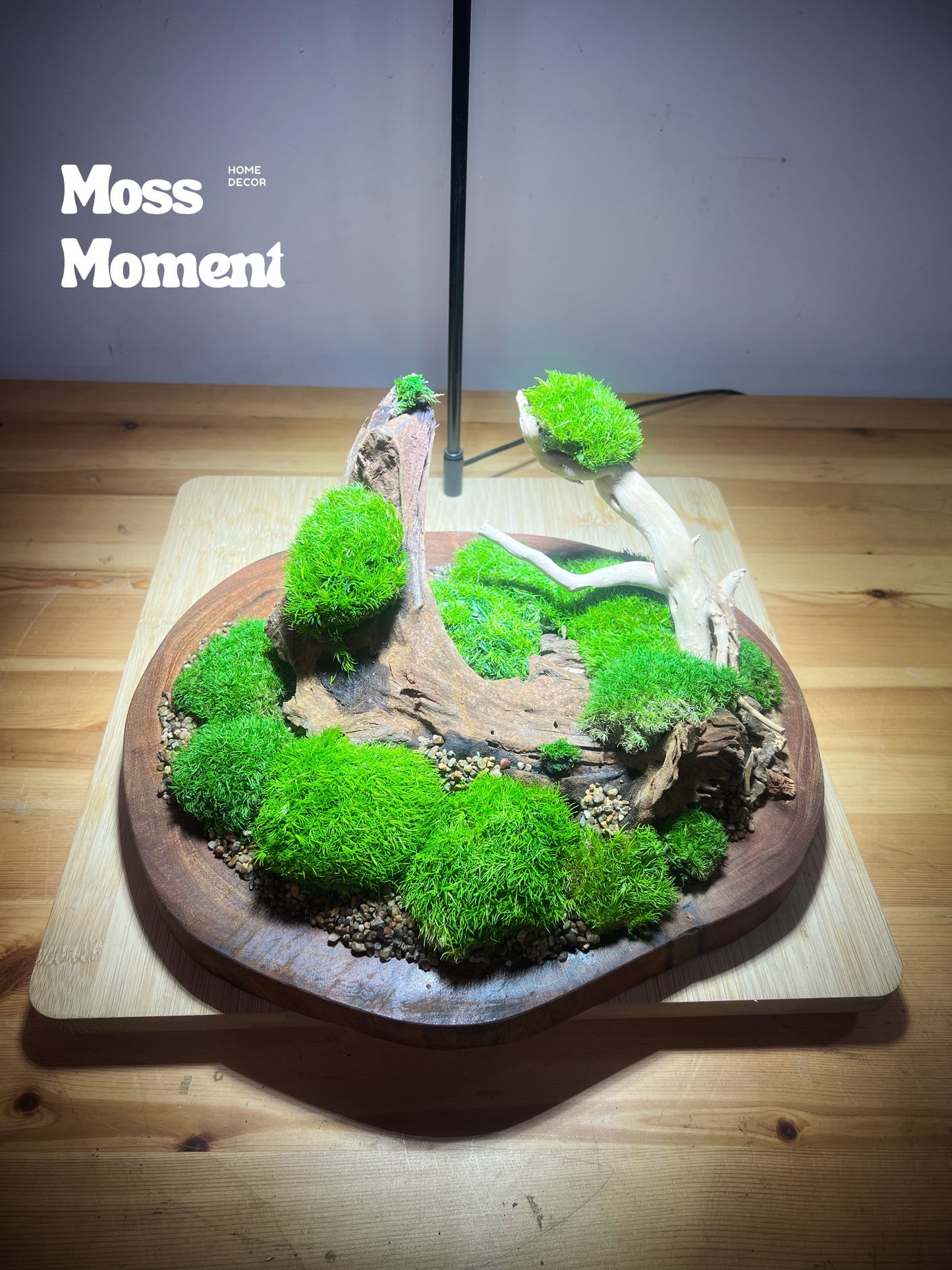 3D Mossscape on merbau slice