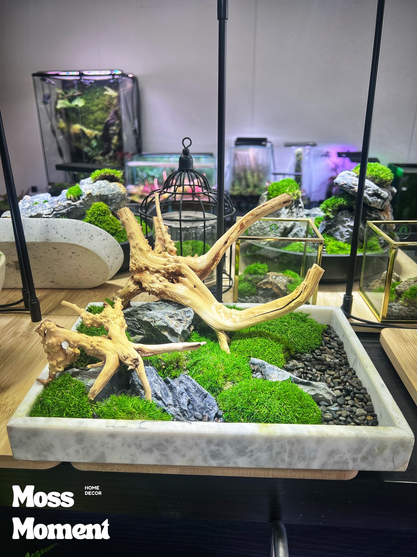 Driftwood on marble tray 2