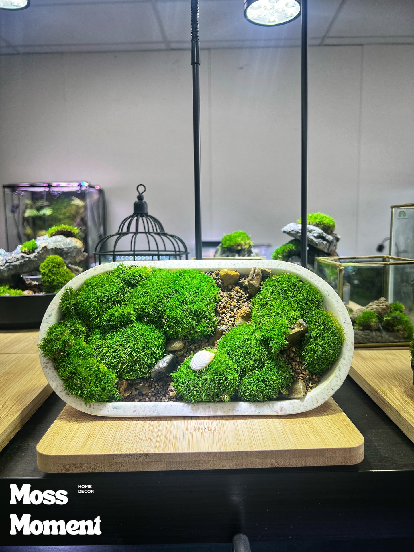 Mossy Marble Scape