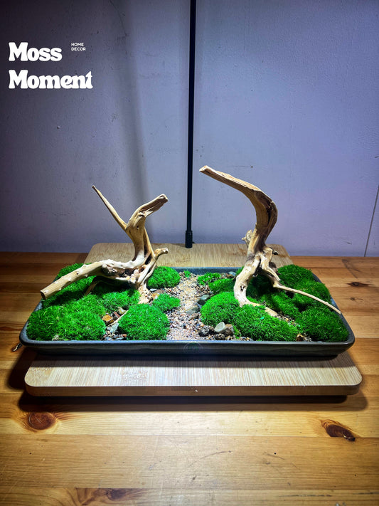 Double tree riverbank 33x16