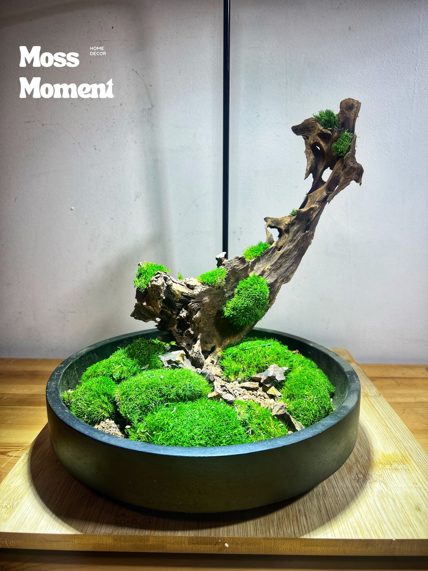 Mossy driftwood 25cm