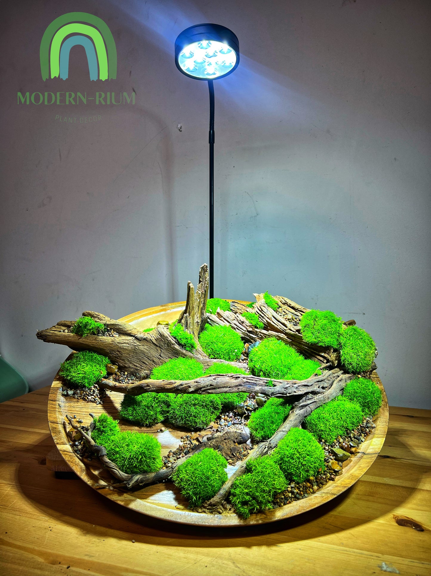 Driftwood Circle 36cm
