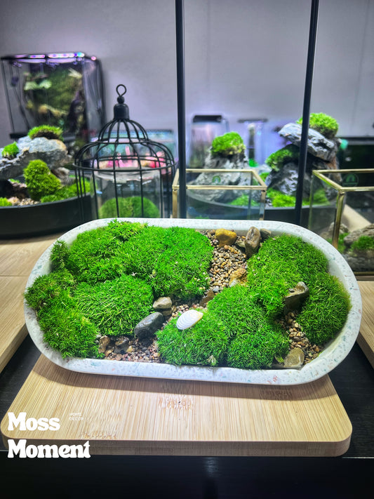 Mossy Marble Scape