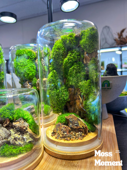 Vertical moss garden