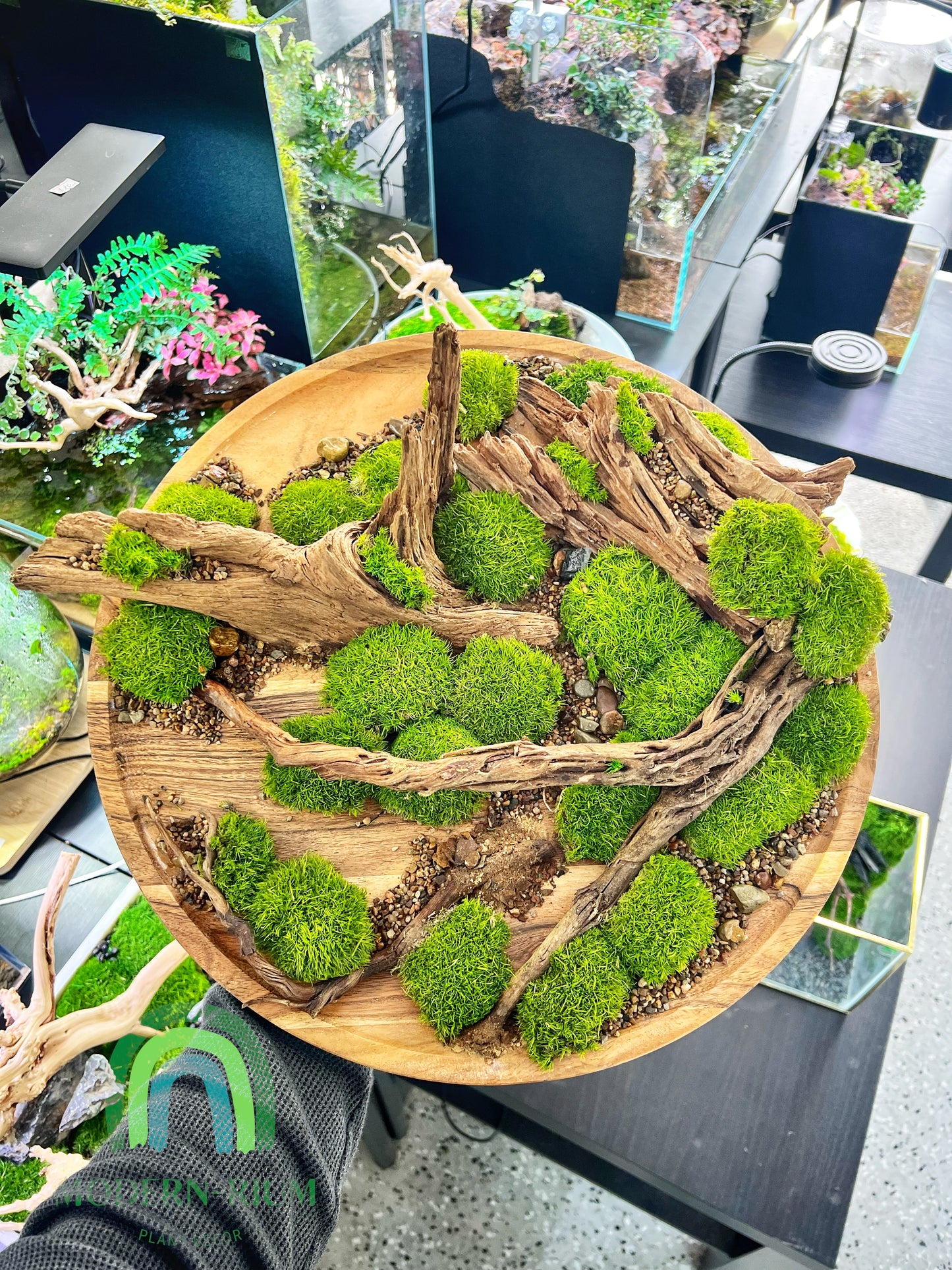 Driftwood Circle 36cm