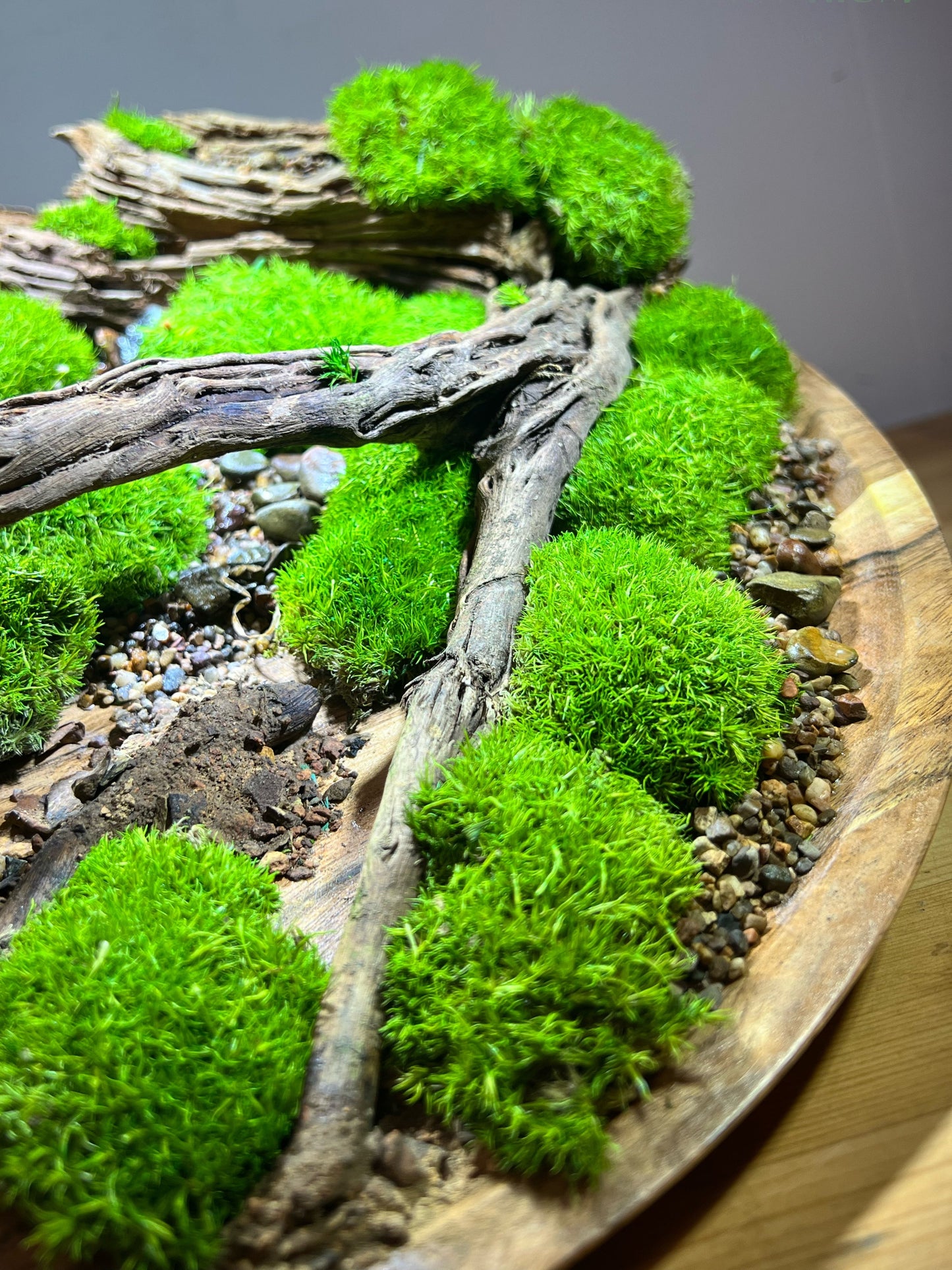 Driftwood Circle 36cm