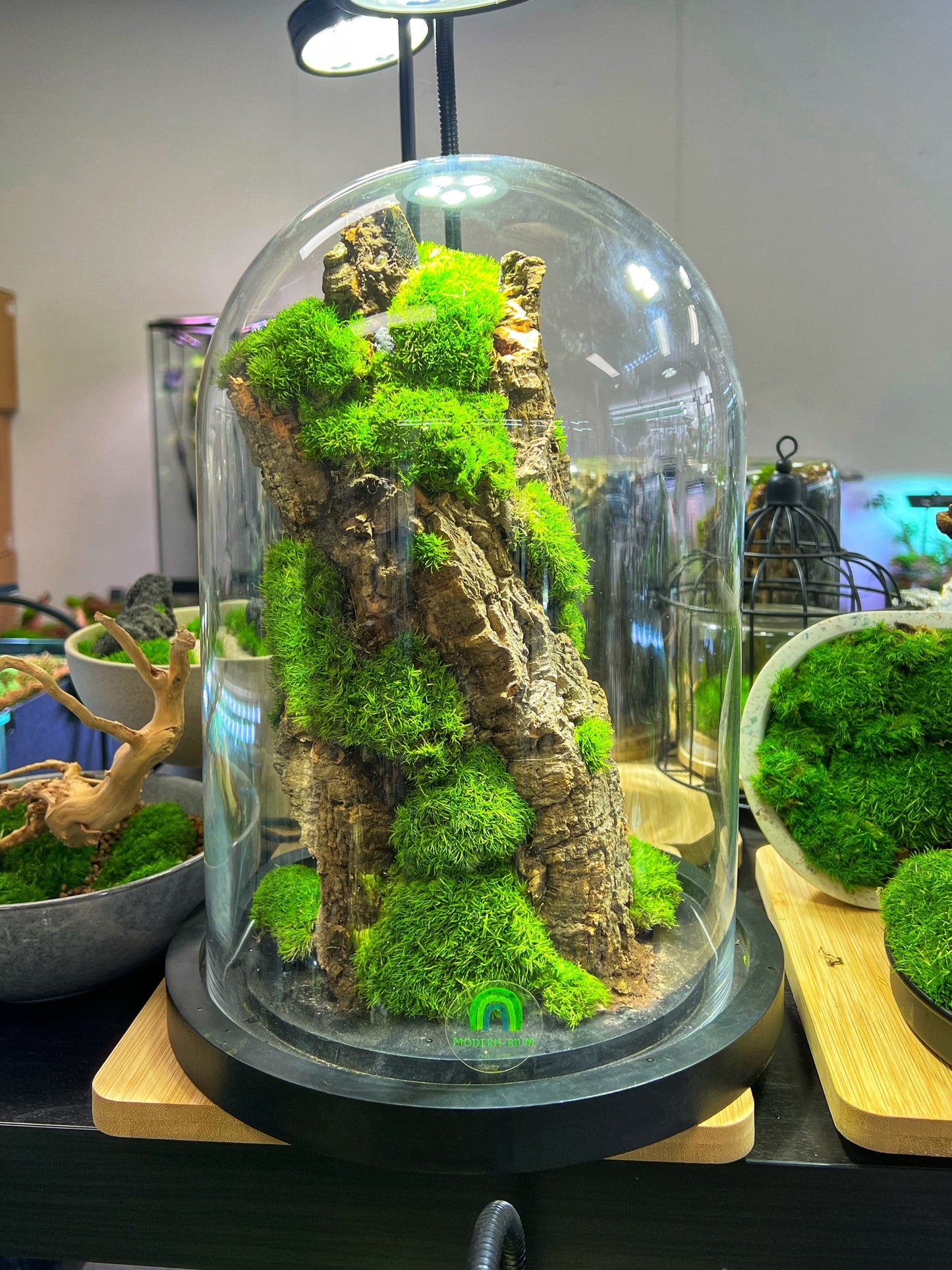 Domed Moss Mountain 33x23cm
